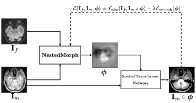NestedMorph